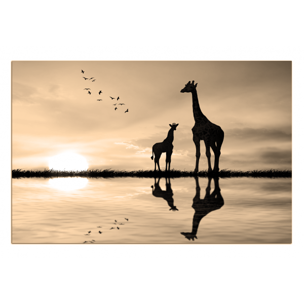 Obraz na plátně - Žirafy silueta