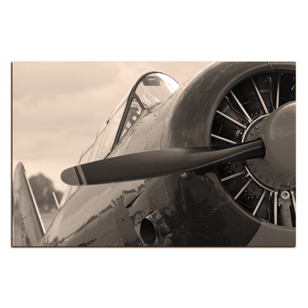 Slika na platnu - WWII avion s propelerom