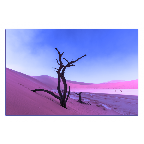 Obraz na plátně - Mrtvý strom v dunách