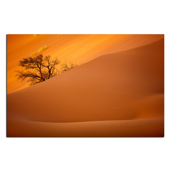 Obraz na plátně - Červené písečné duny