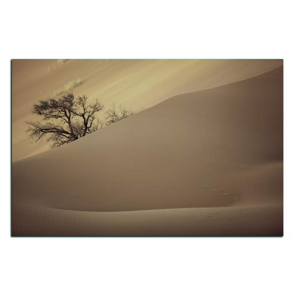 Obraz na plátně - Červené písečné duny