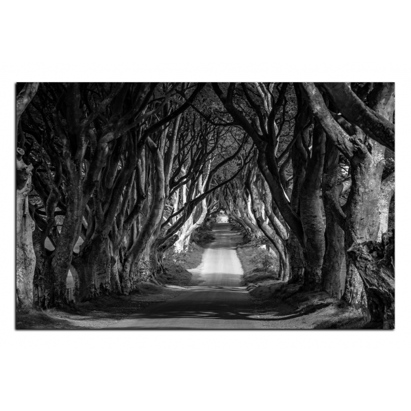 Obraz na plátně - Tmavé ploty v  Irsku