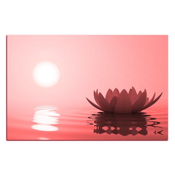 Obraz na plátně - Zen lotus