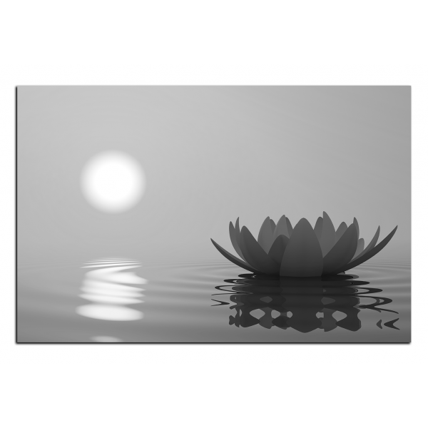 Obraz na plátně - Zen lotus