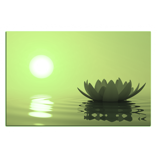 Obraz na plátně - Zen lotus