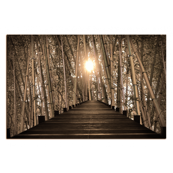 Obraz na plátně - Dřevěná promenáda v bambusovém lese