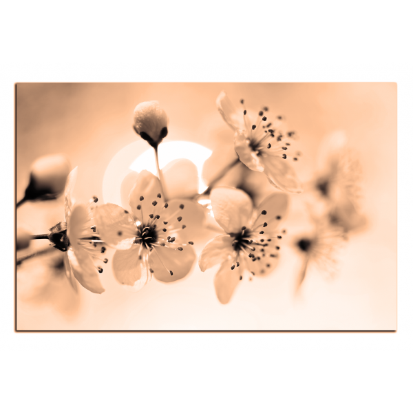 Obraz na plátně - Malé květy na větvi