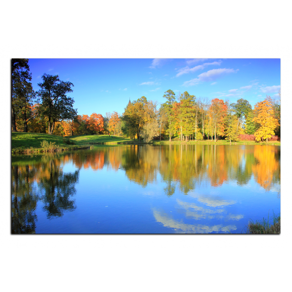 Obraz na plátně - Podzimní park