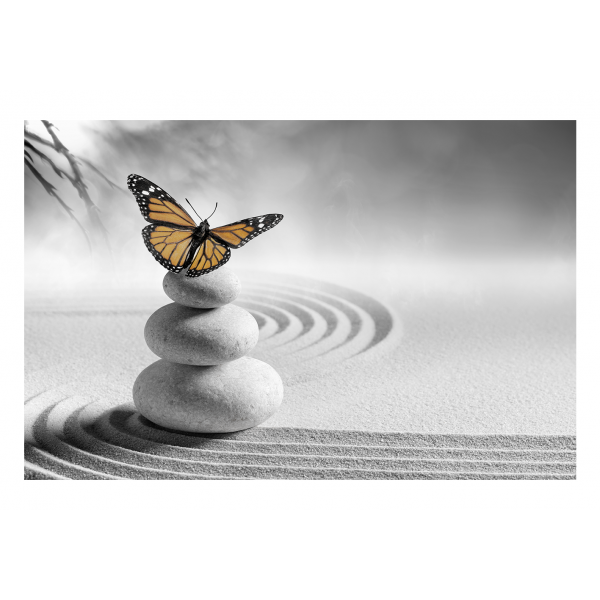 Obraz na plátně - Motýl na spa kameny