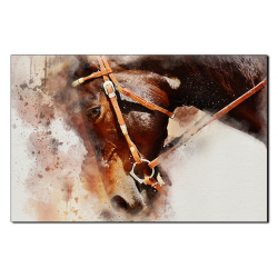 Obraz na plátně - Koňská hlava v abstráktním zobrazení