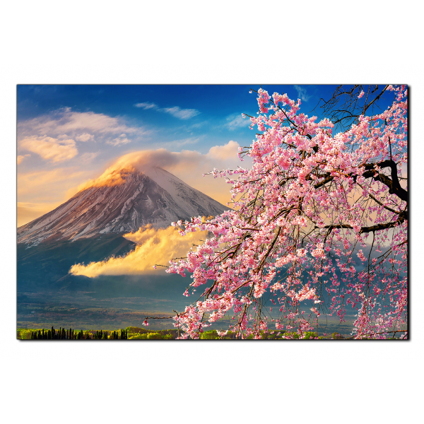 Obraz na plátně - Hora Fuji a třešňové květiny na jaře