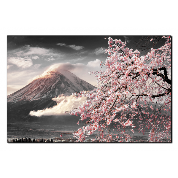 Obraz na plátně - Hora Fuji a třešňové květiny na jaře