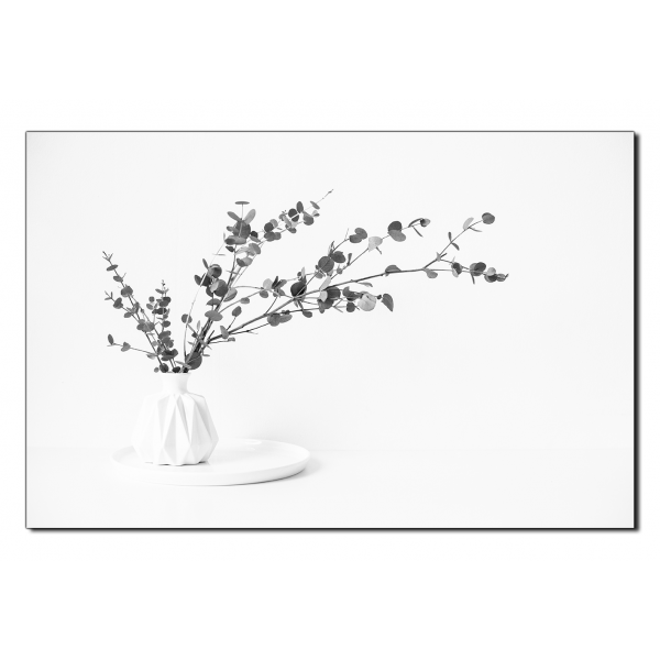 Obraz na plátně - Větev eukalyptu v bílé váze na bílém pozadí