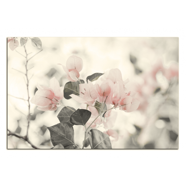 Obraz na plátně - Papírové květiny