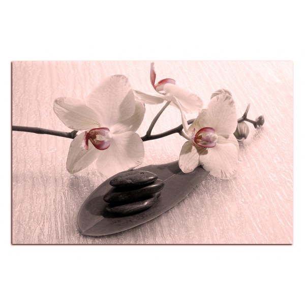 Obraz na plátně - Květy orchideje
