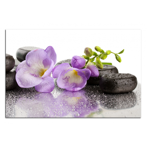 Obraz na plátně - Lávové kameny a fialové květy