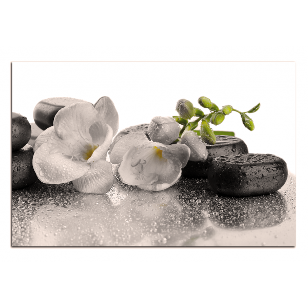 Obraz na plátně - Lávové kameny a  květy