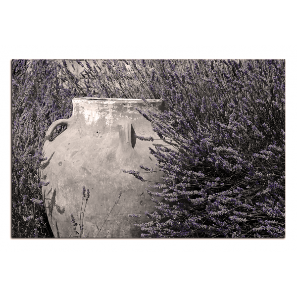 Obraz na plátně - Amfora v levandulovém keři