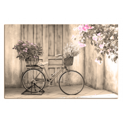 Obraz na plátně - Kolo s květinami