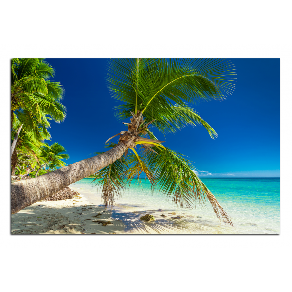 Obraz na plátně - Pláž s palmami