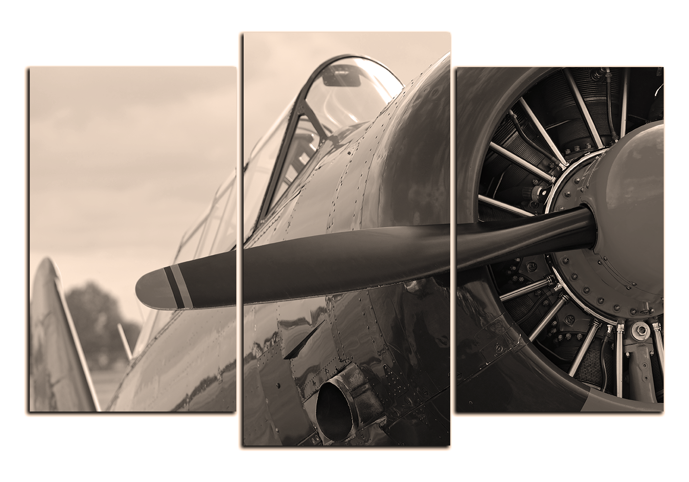 Slika na platnu - WWII avion s propelerom Slika na platnu - WWII avion s propelerom