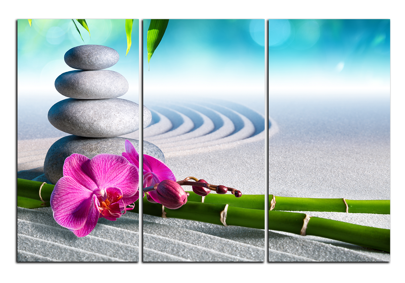 Obraz na plátně - Květ orchideje a zen kameny v zahradě Obraz na plátně - Květ orchideje a zen kameny v zahradě