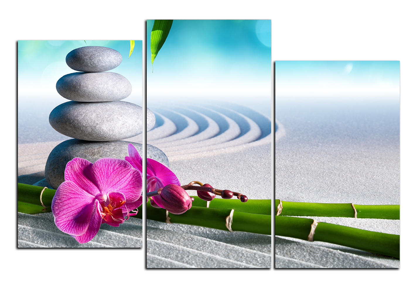 Obraz na plátně - Květ orchideje a zen kameny v zahradě Obraz na plátně - Květ orchideje a zen kameny v zahradě