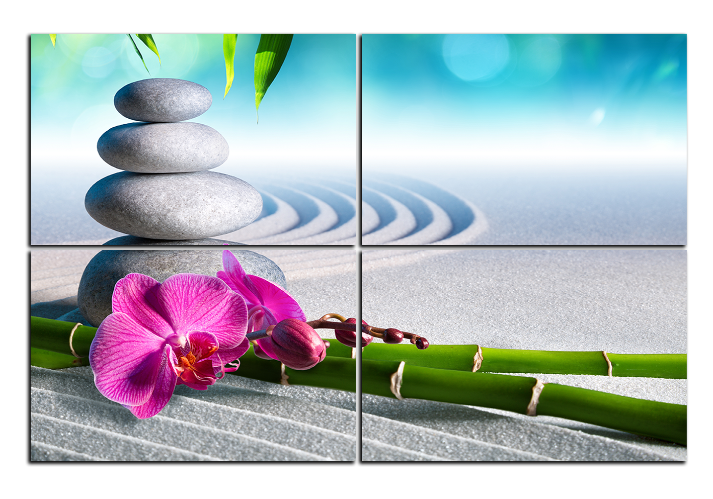 Obraz na plátně - Květ orchideje a zen kameny v zahradě Obraz na plátně - Květ orchideje a zen kameny v zahradě