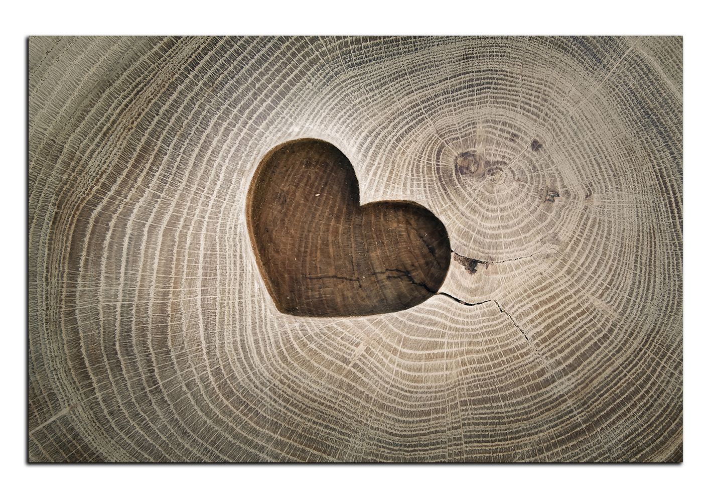 Obraz na plátně - Srdce na dřevěném pozadí