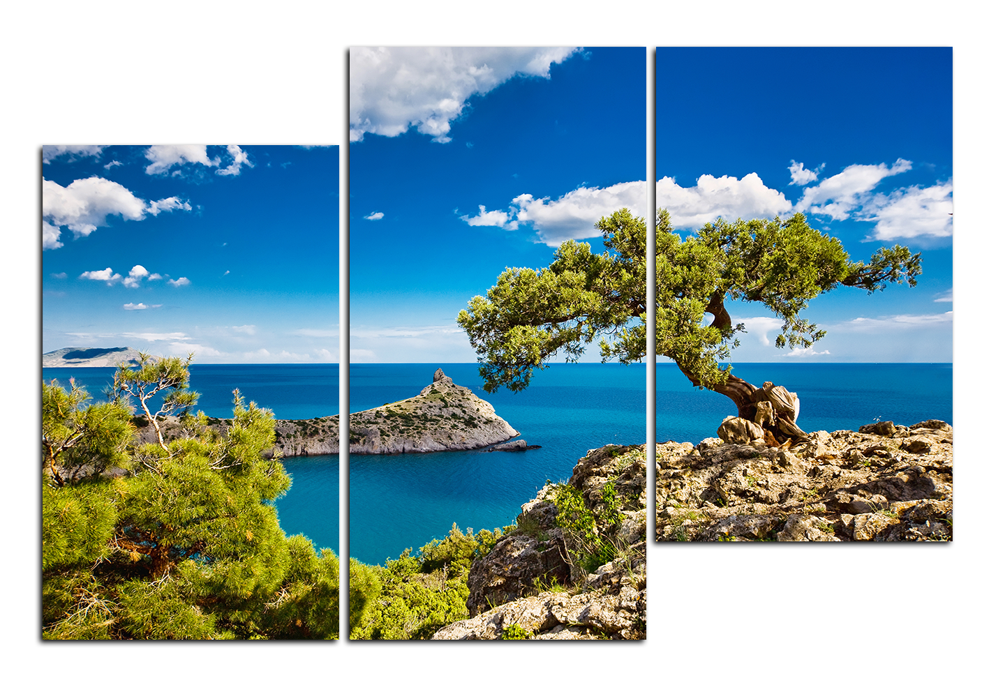 Obraz na plátně - Borovice na útesu Obraz na plátně - Borovice na útesu