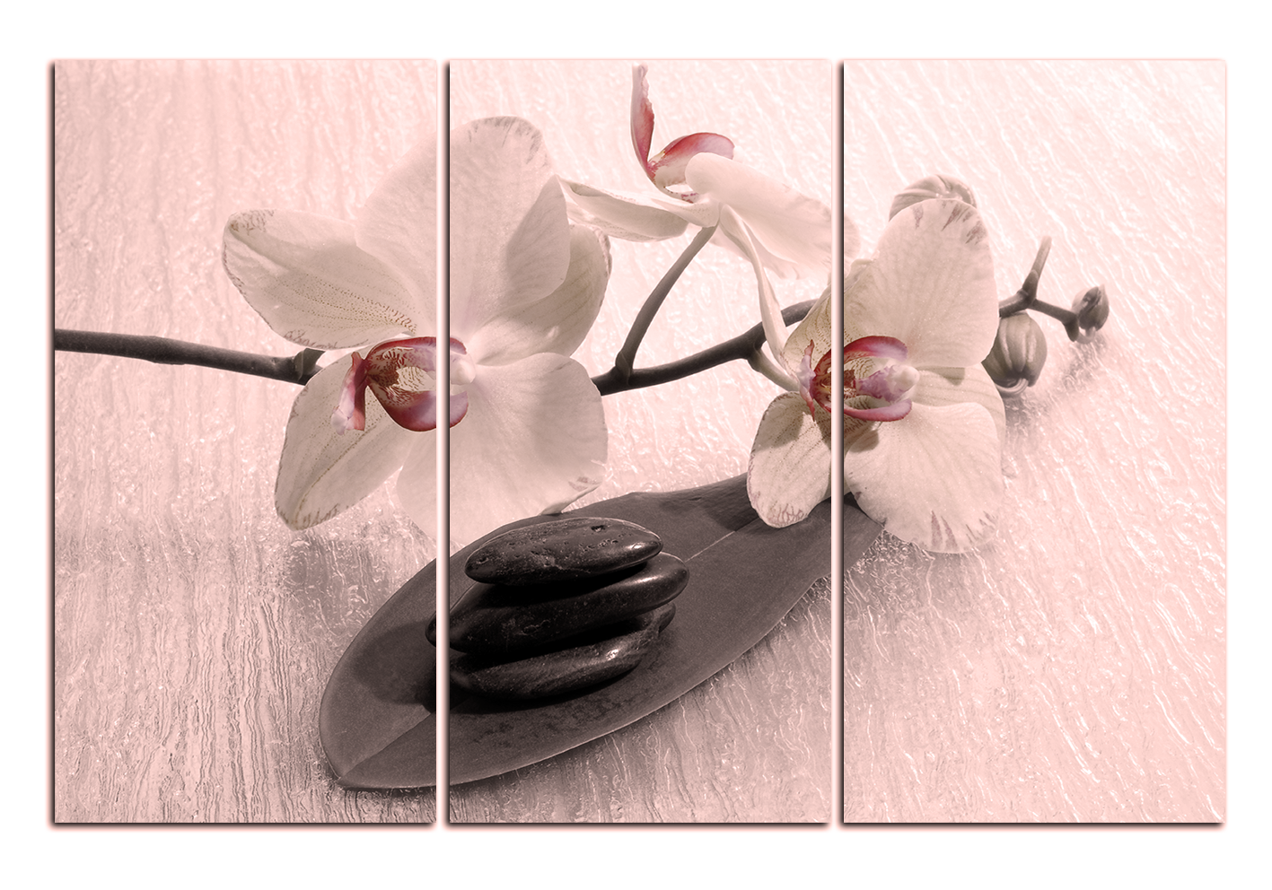 Obraz na plátně - Květy orchideje Obraz na plátně - Květy orchideje